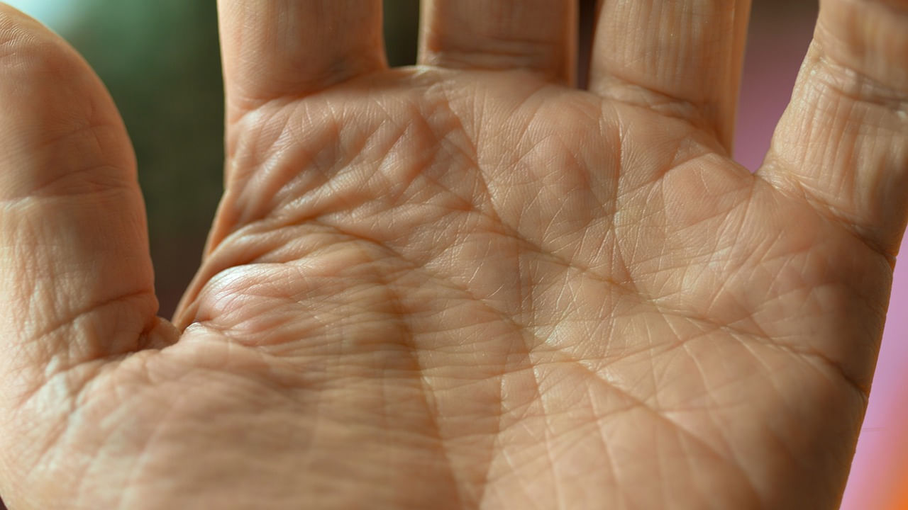 జ్యోతిష్య శాస్త్రం ప్రకారం ఒక వ్యక్తి పుట్టిన తేదీ, సమయం, రోజును బట్టి గ్రహాలను విశ్లేషించి, ఆ వ్యక్తి జీవితం గురించి చెబుతుంటారు. గ్రహాల ఆధారంగా అతని భవిష్యత్తు అంచనా వేసి చెబుతుంటారు. ఇక న్యూమరాలజీ ప్రకారం వ్యక్తి పుట్టిన తేదీ సంఖ్యను, నెలను బట్టి ఆ వ్యక్తి భవిష్యత్తు చెబుతుంటారు. కానీ సాముద్రిక శాస్త్రం ప్రకారం వ్యక్తి అరచేతులను బట్టీ ఆ వ్యక్తి క్యారెక్టర్ తెలుసుకోవచ్చునంట. 