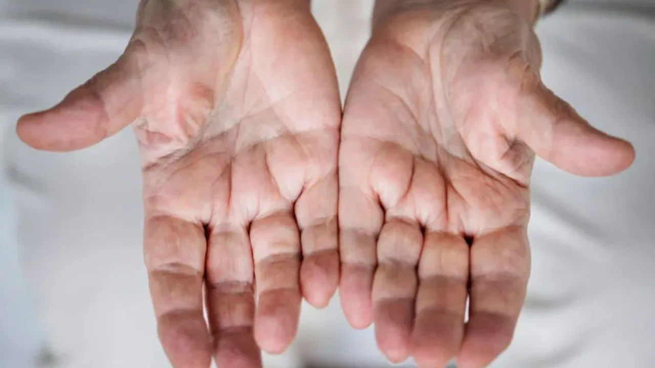 జ్యోతిష్య శాస్త్రంలో సాముద్రిక శాస్త్రానికి చాలా ప్రాధాన్యత ఉంటుంది. సాముద్రిక శాస్త్రం ప్రకారం ఒక వ్యక్తి అరచేతులను బట్టి అతని క్యారెక్టర్ చెప్పవచ్చు అంటారు. కాగా, ఇప్పుడు మనం వ్యక్తి అరచేతుల ఆ కారం బట్టీ ఆ వ్యక్తి గుణ గణాలు, ఓటములు, విజయాల గురించి తెలుసుకుందాం.