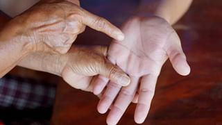 వాస్తు టిప్స్ : ఇంట్లో వెదురు మొక్క పెడితే ఎలాంటి ఫలితాలుంటాయో తెలుసా?