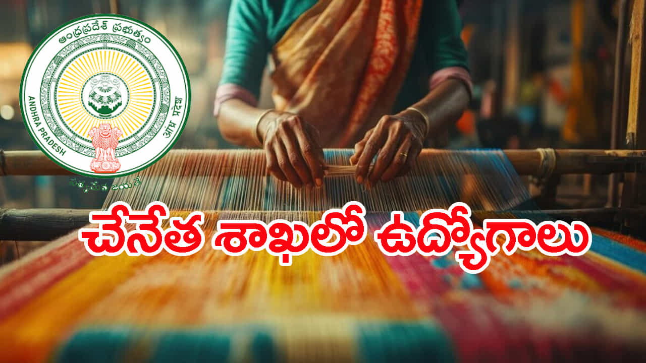 జాతీయ చేనేత అభివృద్ధి పథకం క్రింద స్మాల్ క్లస్టర్ డెవలప్ మెంట్ కార్యక్రమంలో భాగంగా ఎగ్జిక్యూటీవ్ క్లస్టర్ డెవలప్ మెంట్, టెక్స్ టైల్ డిజైనర్స్ కొరకు దరఖాస్తులు ఆహ్వానిస్తున్నట్లు చేనేత , జౌళీ శాఖ ప్రకటించింది.