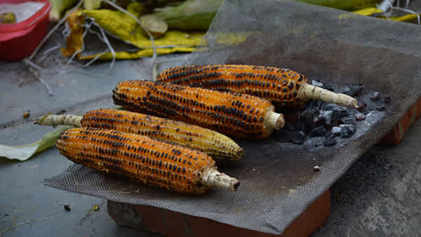 Healthy Street Foods: స్ట్రీట్ ఫుడ్లలో వీటి రూటు సెపరేటు..! రుచితోపాటు ఆరోగ్యం మీ సొంతం