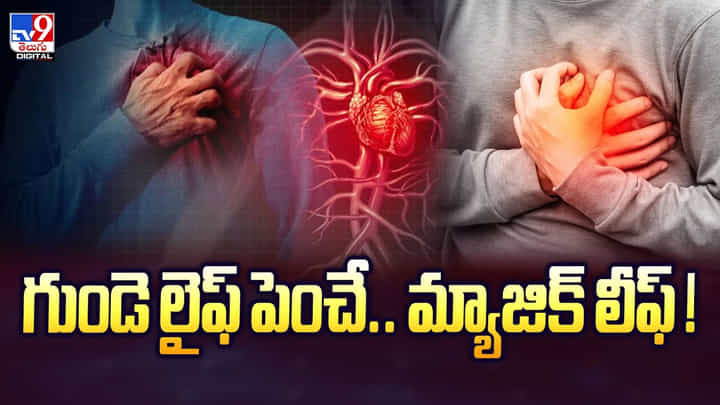 గుండె లైఫ్ పెంచే.. మ్యాజిక్ లీఫ్.. ప్రతి ఒక్కరు తప్పనిసరిగా చూడాల్సిన వీడియో గుండె లైఫ్ పెంచే.. మ్యాజిక్ లీఫ్.. ప్రతి ఒక్కరు తప్పనిసరిగా చూడాల్సిన వీడియో