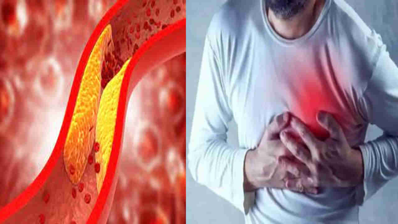Heart Blockage: ఈ లక్షణాలు కనిపిస్తే నిర్లక్షం వద్దు.. గుండెలో అడ్డంకులు కావొచ్చు..