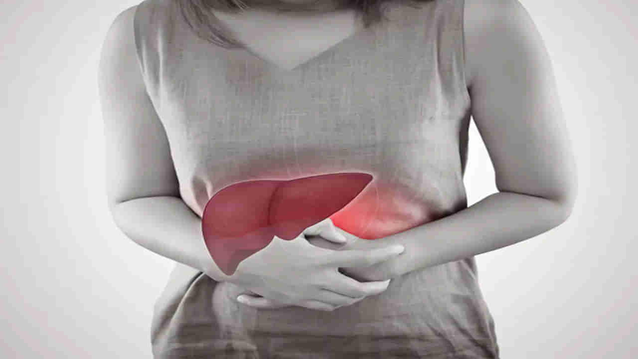 Hepatitis: హెపటైటిస్ వ్యాధి అంటే ఏంటీ..? లివర్‌ని ఎలా దెబ్బతీస్తుంది..!