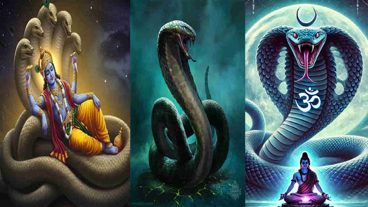 Hindu Epic Story: హిందూమతంలో ఏ పాము శక్తిగలది.. శేష నాగ, వాసుకి, తక్షకుడిలో అత్యంత శక్తివంతమైన పాము ఏది?