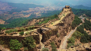 Black cumin seeds: ఈ నల్లటి విత్తనాలతో అద్భుతమైన ఆరోగ్య ప్రయోజనాలు.. అందం, ఆరోగ్యానికి చేసే మ్యాజిక్‌ తెలిస్తే..