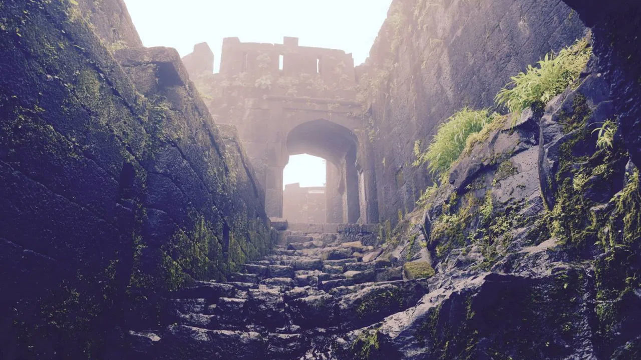 మహారాష్ట్రలోని పూణే జిల్లాలోని జున్నార్ సమీపంలో శివనేరి కోట ఉంది. ఇది ఒక కొండపై నిర్మించబడింది. అన్ని వైపులా నిటారుగా ఉన్న రాళ్లతో చుట్టుముట్టబడి ఉంది. ఇది ఛత్రపతి శివాజీ మహారాజ్ జన్మస్థలం. ఈ కోట పర్యాటకులలో బాగా ప్రాచుర్యం పొందింది. ఇక్కడికి చేరుకోవడానికి ట్రెక్కింగ్ అవసరం. కోట చుట్టూ పచ్చదనం, లోయలు, జున్నార్ నగరం కనిపిస్తాయి.(Photos Credit : Getty Images) 
 