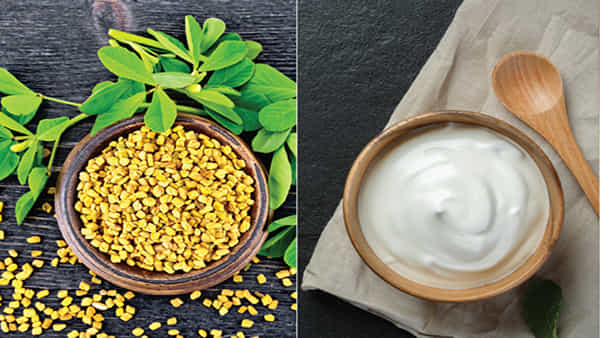 Dandruff: కేవలం రెండు వారాల్లో మీ చుండ్రు దూరం, ఎలాగంటారా..