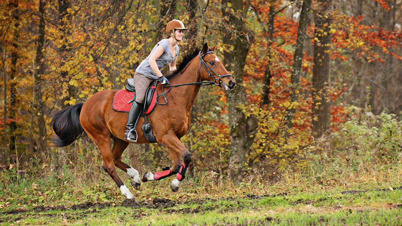 పూర్యకాలంలో ప్రజలు గుర్రపు బండ్లు, ఏండ్ల బండ్లును రవాణా కోసం ఉపయోగించేవారు. వారి ద్వారానే ఎక్కువ దూరం వెళ్లేవారు. అయితే మార్గం మధ్యలో బురద, నీటి మధ్యలో ప్రయాణం చేయాల్సివచ్చేదే. దీనివల్ల గుర్రాలు, ఎడ్ల కాళ్ళకు ఇన్ఫెక్షన్ అయ్యింది. బురదలో ఉండే క్రిములు గుర్రాలు, ఎడ్ల కాళ్ళలోని క్రిములు చేరకుండా ఉండేందుకు వాటితో నిమ్మకాయలను తొక్కించేవారు. నిమ్మకాయలోని ఔషద గుణాల కారణంగా వీటి కాళ్ళకి ఇన్ఫెక్షన్ అవ్వకుండా కాపాడేది. దీంతో ప్రయాణం సాఫీగా సాగేది.
