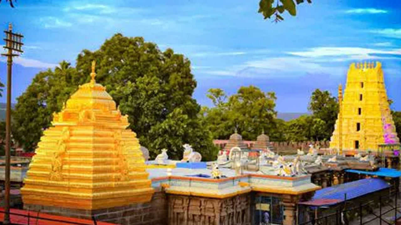 శ్రీశైలం : నల్లమల అటవీ ప్రాంతంలో ఉన్న ఈ శ్రీశైలం ఓ అద్భుతమైన ప్రదేశం అని చెప్పాలి. మీరు మీ భాగస్వామితో కలిసి ఇక్కడి అనేక దేవాలయాలను సందర్శించవచ్చును. పచ్చటి చెట్టు, కృష్టానది పడవ ప్రయాణం, శ్రీశైలం మల్లికార్జున టెంపుల్, ఎత్తైన కొండలు, ఇవన్నీ మీ మనసుకు హాయినిస్తాయి.