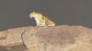 Hyderabad: డ్రగ్స్ వినియోగిస్తూ దొరికిన 14 మందిని పోలీసులు ఏం చేశారంటే..?