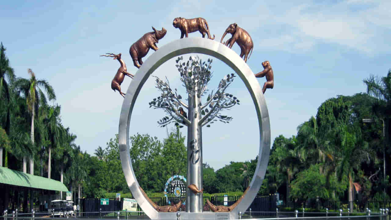 Hyderabad Zoo Park: హైదరాబాదీలకు గుడ్ న్యూస్.. నైట్ సఫారీ మళ్లీ షురూ!