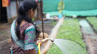 Pedakakani: ఆహా.. పాత బంగారం ఎక్కువ రేటుకు కొంటున్నారు – కరెన్సీ కూడా సీల్ కట్టలు ఇస్తున్నారు – తర్వాత