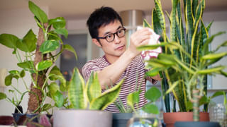 Astro Tips: ఈ రాశివారు కింద పడ్డా పైచేయి అంటారు.. తప్పు చేసినా క్షమాపణ చెప్పడానికి ఇష్టపడరు.. ఈ రాశులు ఏమిటంటే..