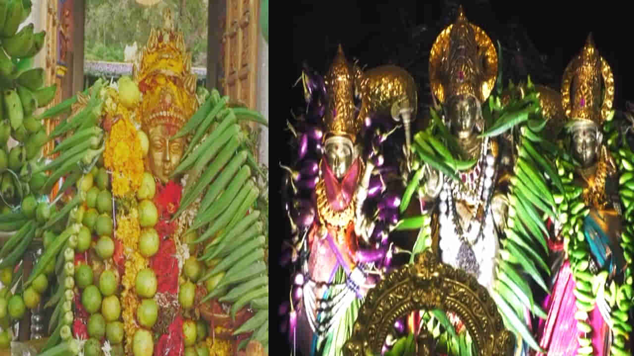 Shakambari Utsvalu: ఇంద్రకీలాద్రిపై శాకాంబరీ ఉత్సవాలు ప్రారంభం.. 3 రోజులు వీఐపీ దర్శనాలు రద్దు