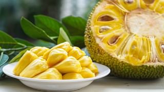 Inner wear : మీ లోదుస్తులకు ఎక్స్‌పైరీ డేట్ ఉంటుందా.. ఆ వ్యాధులన్నీ వీటివల్లేనా?