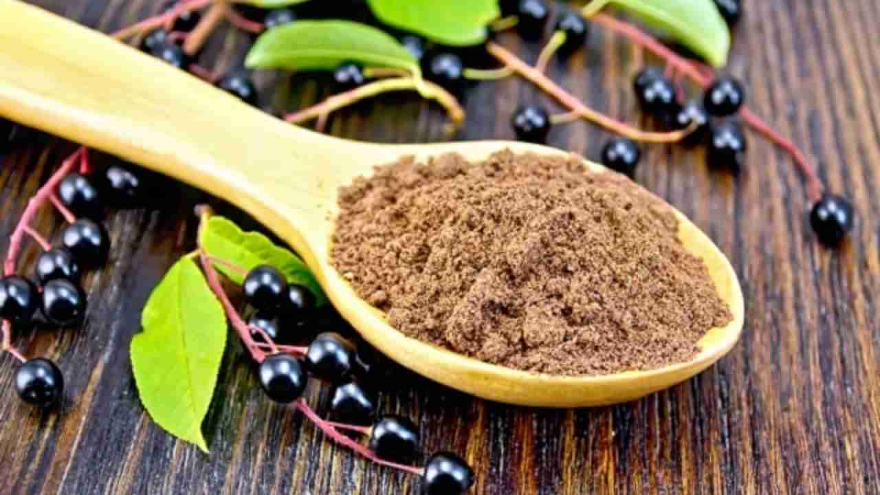Jamun Seeds Benefits: మధుమేహానికి అద్భుత ఔషధం.. ఎలా మ్యాజిక్ చేస్తుందో తెలుసా..?