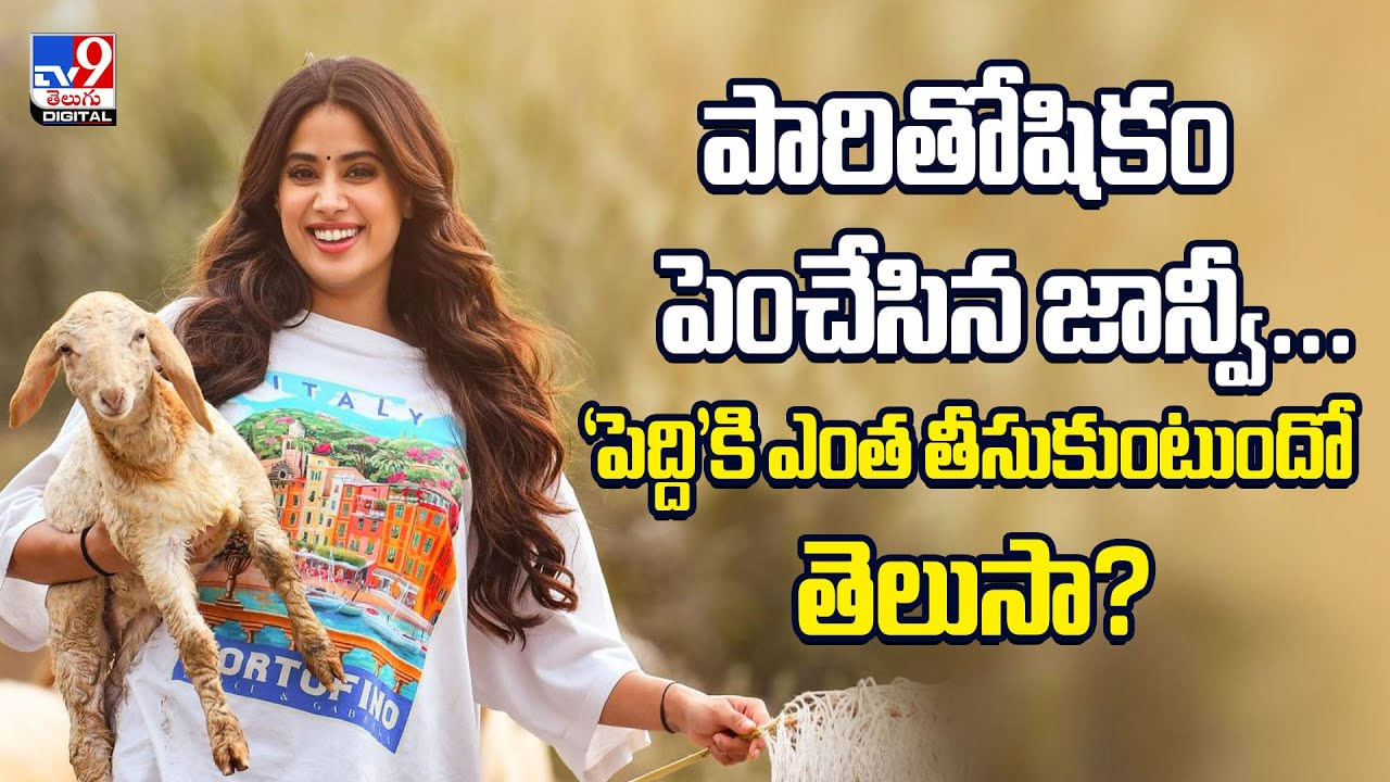 ఎంటర్టైన్మెంట్