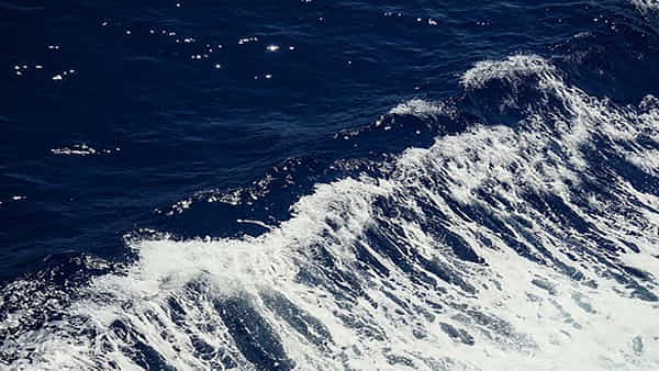 Tsunami: రష్యా, జపాన్లో సునామీ.. భారత కాన్సులేట్ అప్రమత్తం