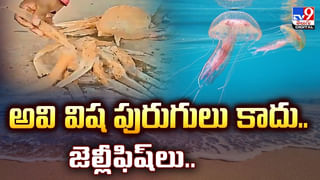 ఆర్డర్‌  పెట్టకుండానే వందలకొద్దీ పార్శిళ్లు..