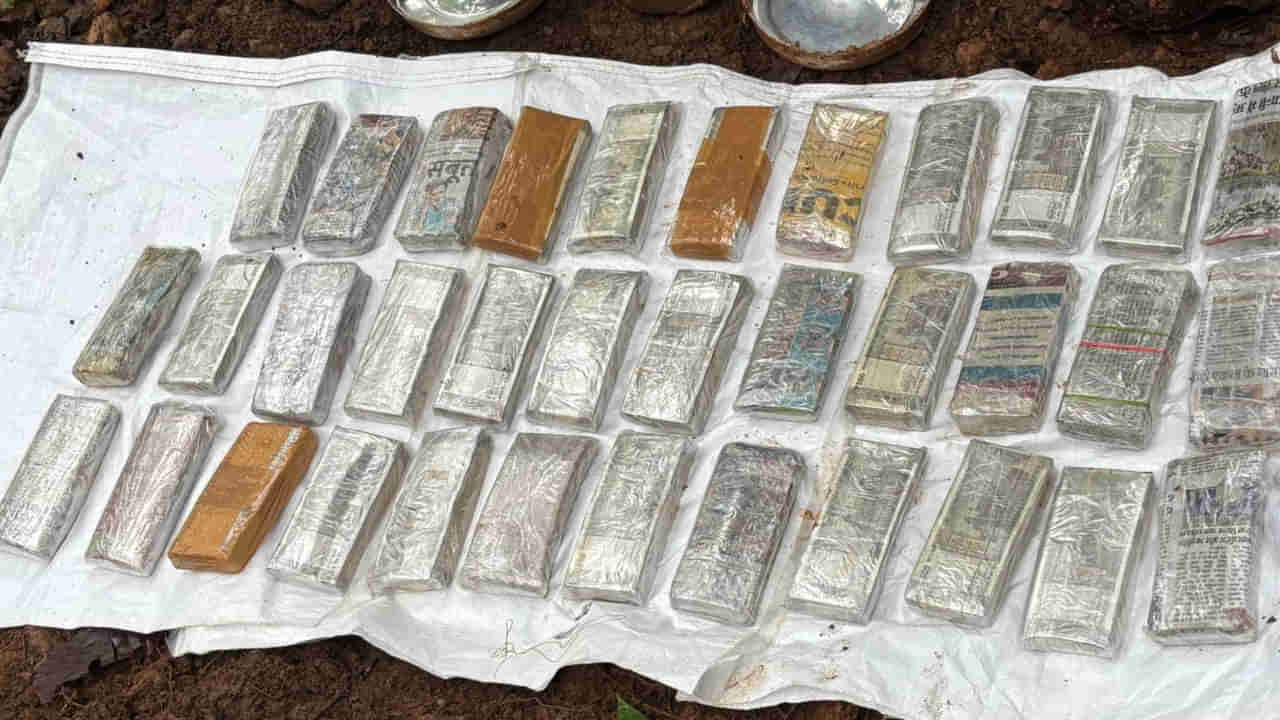 అడవిలో బంకర్‌లాంటి నిర్మాణం.. తవ్వగా బయటపడ్డ నోట్ల కట్టలు.. అక్కడికెలా వచ్చేయో తెలిస్తే..