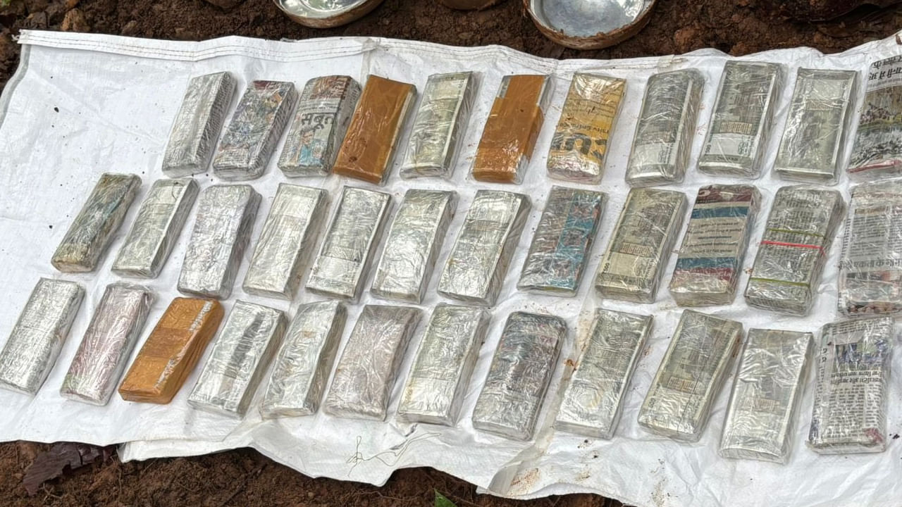 అడవిలో బంకర్‌లాంటి నిర్మాణం.. తవ్వగా బయటపడ్డ నోట్ల కట్టలు.. అక్కడికెలా వచ్చేయో తెలిస్తే..