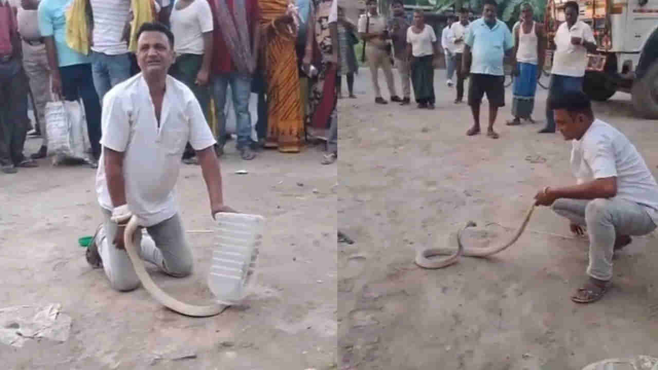 పామును పట్టుకోమని పిలిపించారు.. అతన్ని పాము కాట్టేస్తే ఎవరూ పట్టించుకోలేదు! పైగా వీడియోలు తీశారు.. చివరికి..