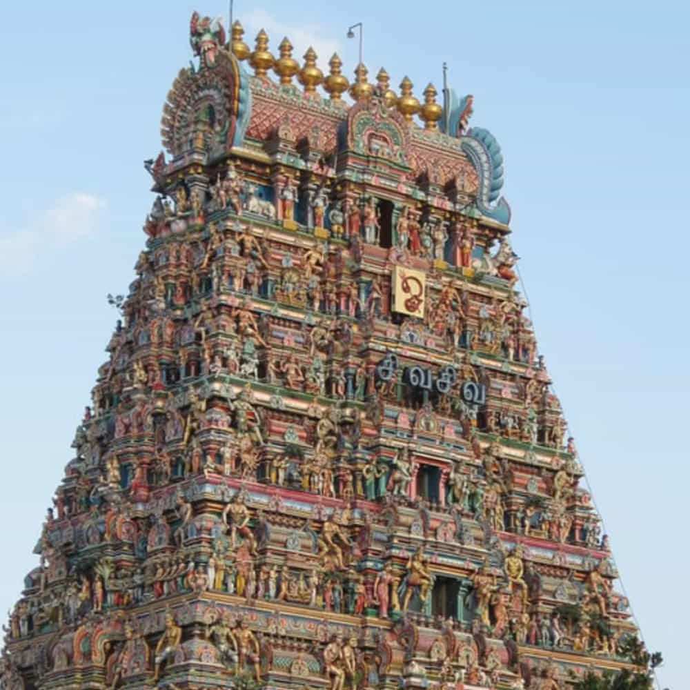 కపాలీశ్వరార్ ఆలయం: ఈ ఆలయం 1,300 సంవత్సరాలకు పైగా చరిత్రను కలిగి ఉంది. విద్యా విజయంతో పాటు మానసిక స్పష్టతను కోరుకునే వారు దైవిక ఆశీర్వాదాలను పొందడానికి ఈ ఆలయంలో తరచుగా పూజలు చేస్తారు.