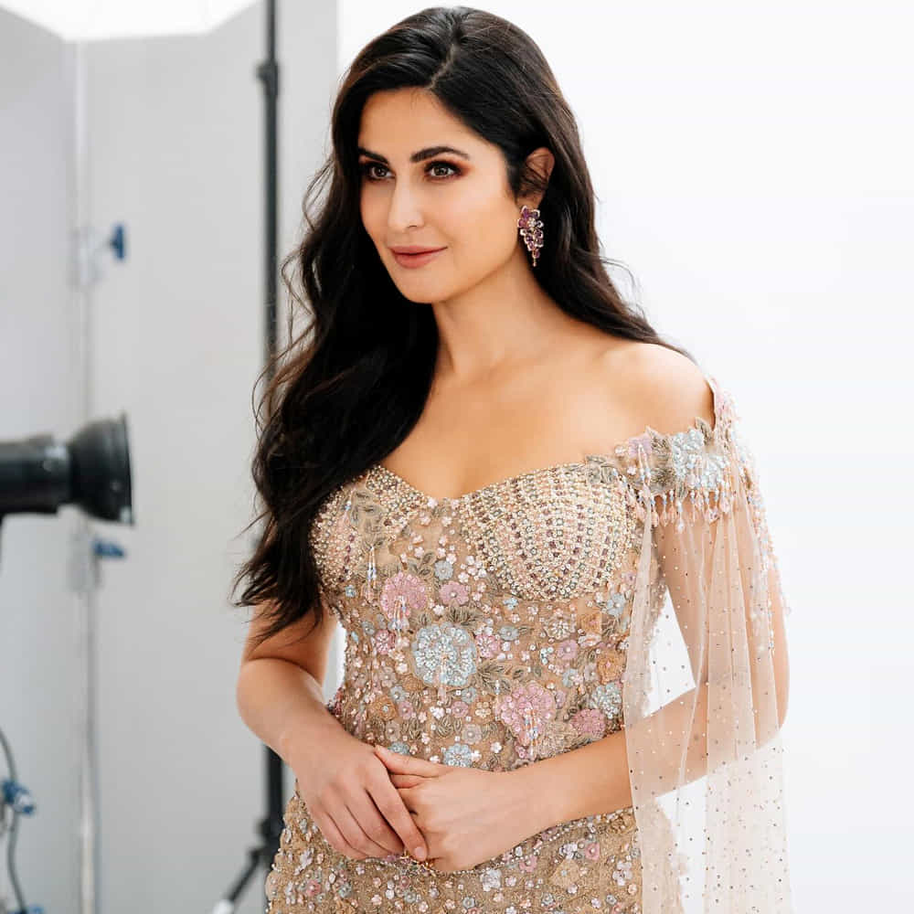 ఫోర్బ్స్ ఇండియా 2019లో అత్యధిక పారితోషికం తీసుకునే హీరోయిన్స్ లిస్ట్ విడుదల చేసింది. ఈ లిస్ట్ లో కత్రినా కూడా ఉంది. ఆమె ఆస్తులు 263 కోట్ల రూపాయలకు పైగా ఉన్నాయి. ఒక్కో సినిమాకి 12 కోట్లు వరకు రెమ్యునరేషన్ తీసుకుంటుంది కత్రినా. అలాగే పలు వాణిజ్య సంస్థలకు బబ్రాండ్ అంబాసిడర్‌గాను ఉంది ఈ చిన్నది.