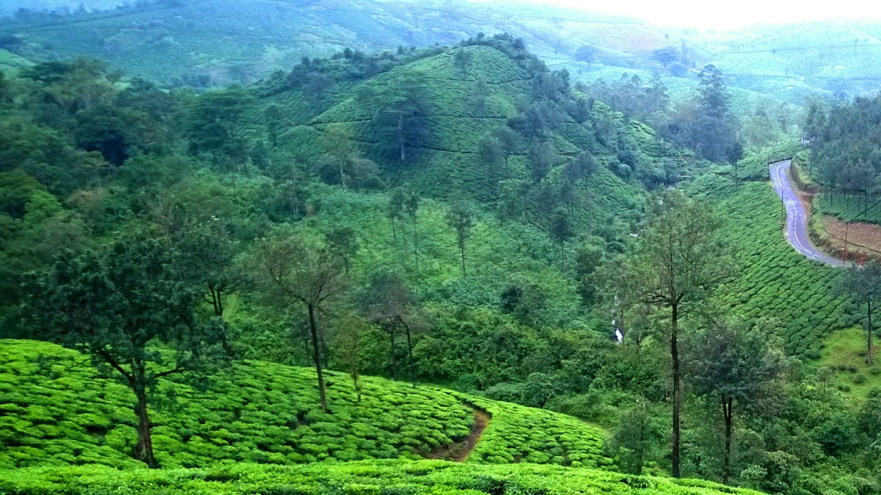 త్రినూర్ అంటే చాలా మందికి ఇష్టం. ఇక్కడ కోటలు, జలపాతాలతో ఇది ప్రసిద్ధి చెందినది. కేరళ సాంసృతిక రాజధాని త్రినూర్. ఇది మంచి పర్యాటక కేంద్రం. పురావస్తు మ్యూజియం, జలపాతాలు, ఏనుగుల అభయారణ్యం, వంటివి చూడటానికి కేరళలోని త్రినూర్ బెస్ట్ ప్లేస్.