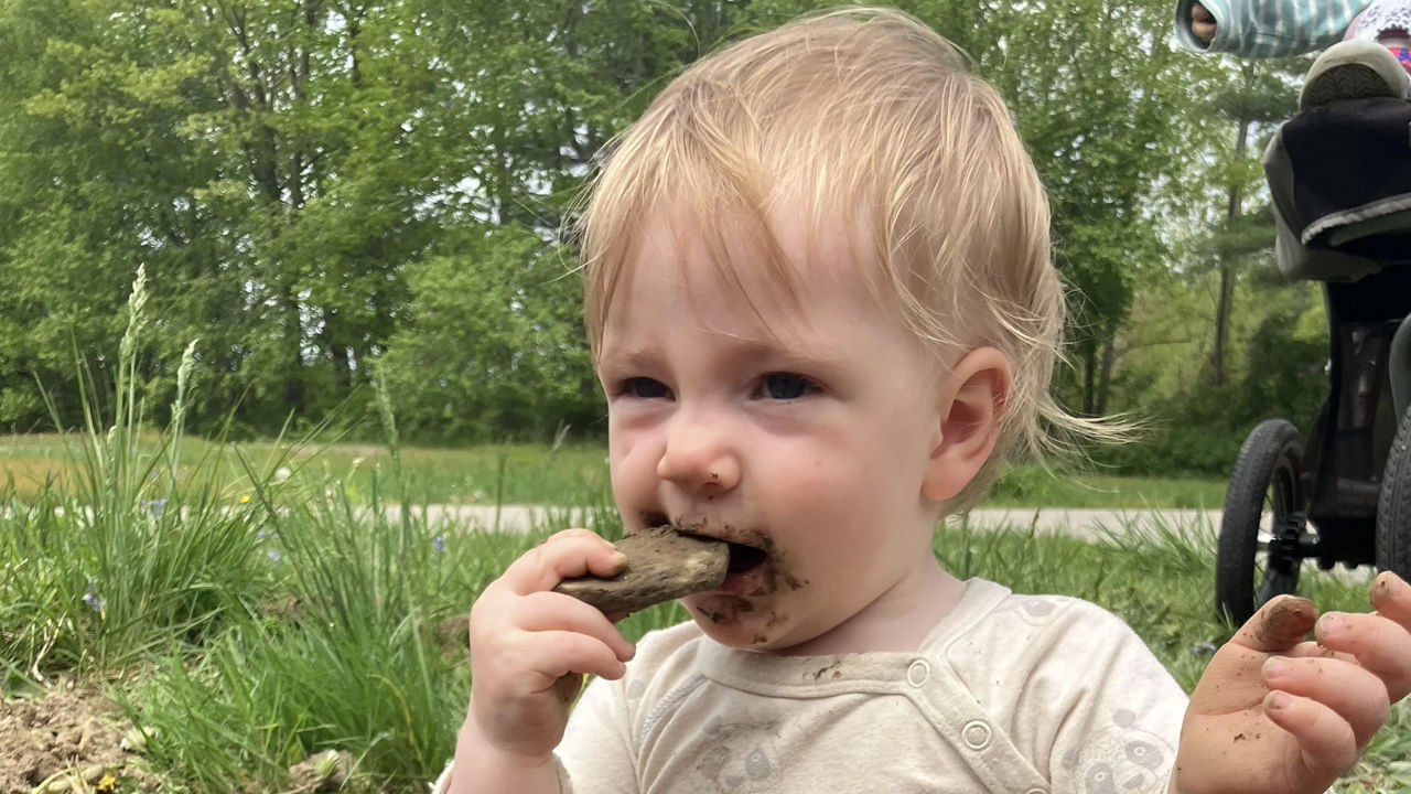 చాలా మంది పిల్లలకు, మట్టిని తిన్న వెంటనే ఎటువంటి తీవ్రమైన సమస్యలు ఉండవు. కానీ బ్యాక్టీరియా, పరాన్నజీవులు లేదా విష పదార్థాలను కూడా జీర్ణం చేసుకునే ప్రమాదం ఉంటుంది. ఇది తీవ్రమైన ఆరోగ్య సమస్యలను కలిగిస్తుంది. తల్లిదండ్రులు పరిష్కరించని ఏవైనా లక్షణాలను గమనిస్తే వెంటనే వైద్య సహాయం తీసుకోవాలి. పిల్లల రోగనిరోధక శక్తిని బలోపేతం చేయడంలో కొంత ధూళి లేదా బురదను తీసుకోవడం ఒక పాత్ర పోషించే అవకాశం ఉంది.