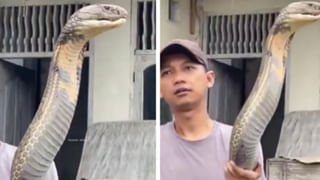 Viral Video: కదులుతున్న రైలులో రీల్ చేద్దామనుకుంది.. కానీ ఊహించని గెస్ట్ ఎంట్రీతో సీన్ రివర్స్