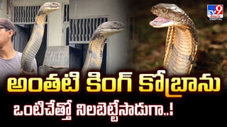 పురావస్తు తవ్వకాల్లో బయటపడిన 1600 ఏళ్ల నాటి మహా రాజు సమాధి.. శాస్త్రవేత్తలు విస్తూ పోయే సంపద..!