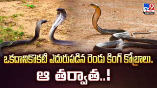 కేవలం రూ.100కే ఇల్లు.. ఎక్కడో తెలుసా?