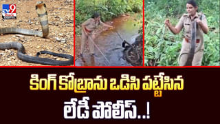 ఆ గుళ్లో అడుగుపెడితే.. మీ పెళ్లి అయినట్లే వీడియో