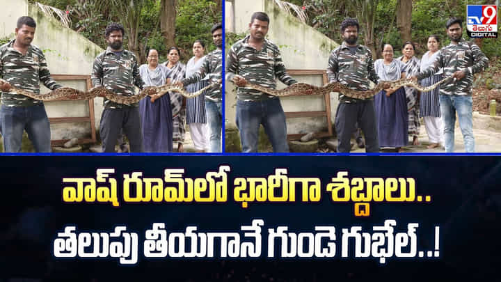 వాష్ రూమ్లో భారీగా శబ్దాలు..తలుపు తీయగానే గుండె గుభేల్ వీడియో వాష్ రూమ్లో భారీగా శబ్దాలు..తలుపు తీయగానే గుండె గుభేల్ వీడియో