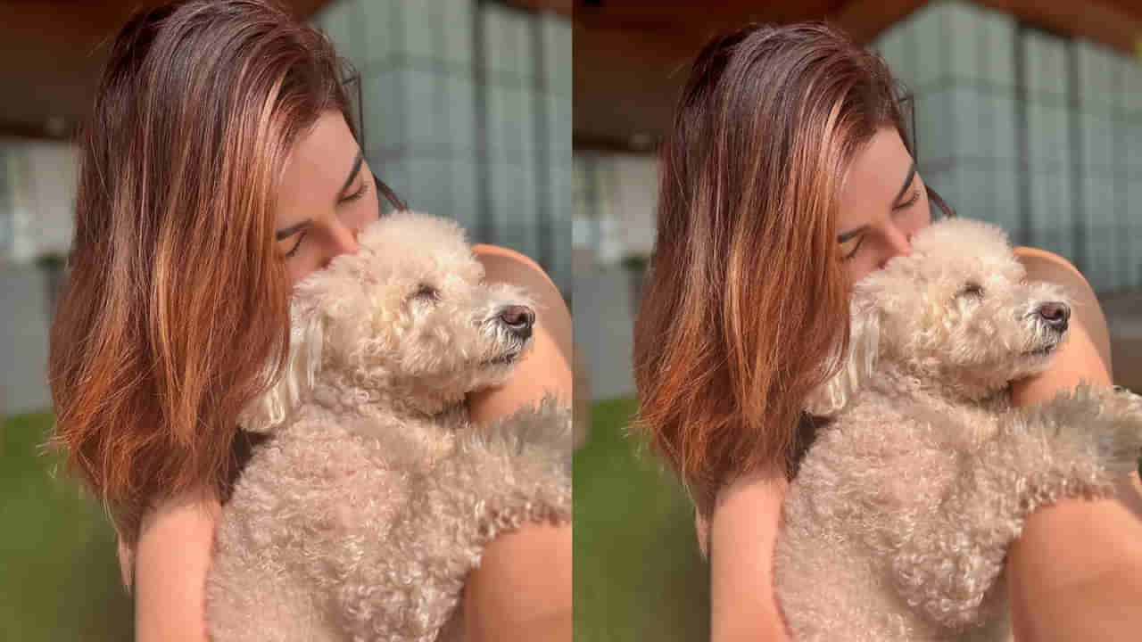 Actress : మహేష్ బాబుతో ఫస్ట్ మూవీ.. ఇండస్ట్రీలో చక్రం తిప్పిన హీరోయిన్.. కట్ చేస్తే.. నేషనల్ అవార్డ్..