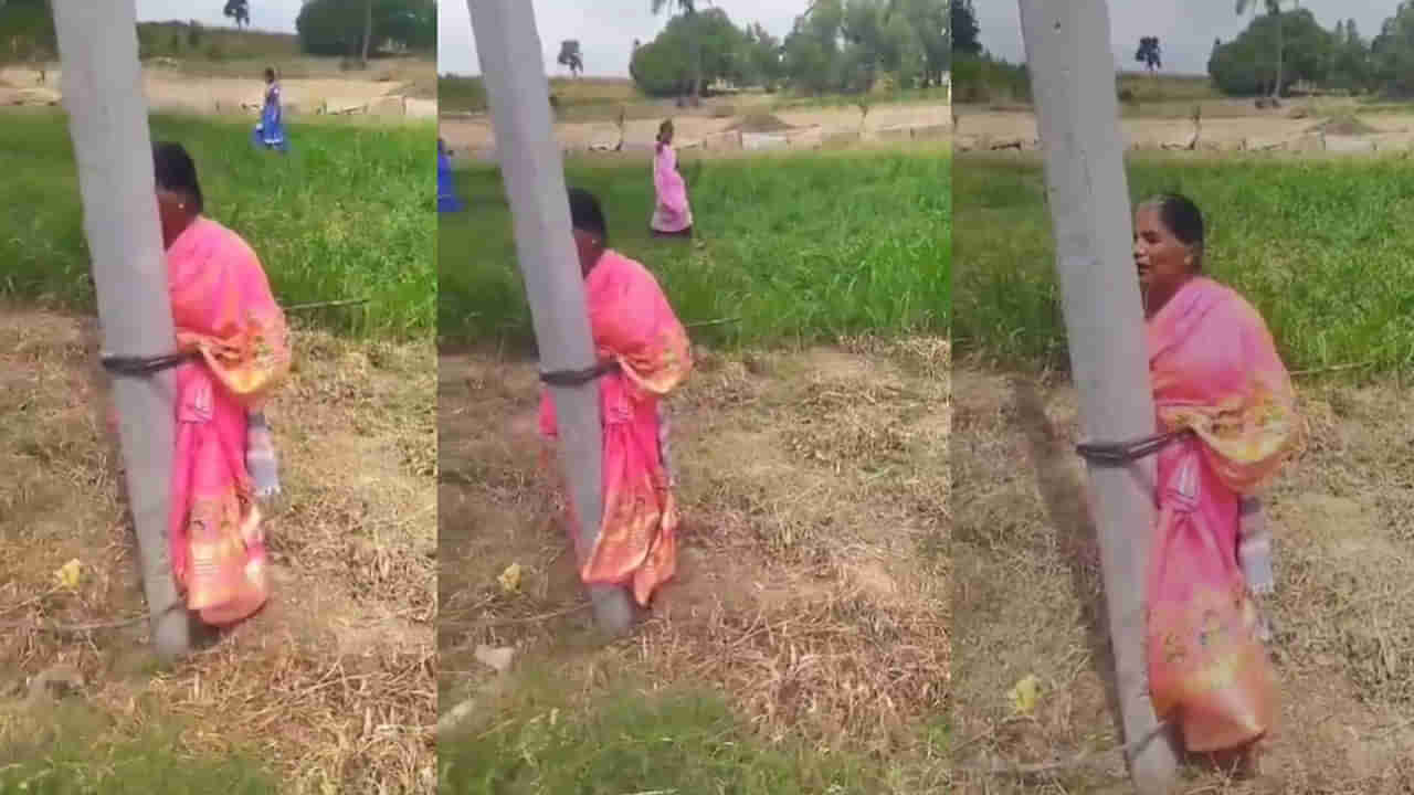 Andhra News: తల్లిని చెట్టుకు కట్టేసి కొట్టారంటూ ఫేక్‌ వీడియోతో ప్రచారం.. కట్‌చేస్తే.. దిమ్మతిరిగే ట్విస్ట్!