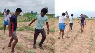 అయ్యో ఎంత ఘోరం జరిగిపోయింది.. ఆడుకుంటున్న చిన్నారిపై కుక్కల గుంపు దాడి! కన్నీళ్లు పెట్టించే ఘటన