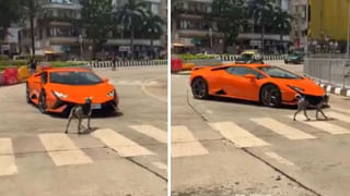 Viral Video: కళ్లు మూసి తెరిచే లోపే కల్తీ చేసేస్తారు… కస్టమర్లను ఎలా మోసం చేస్తున్నారో చూడండి!