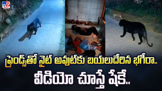 వీధి కుక్క దాదాగిరీకి నెటిజన్లు ఫిదా