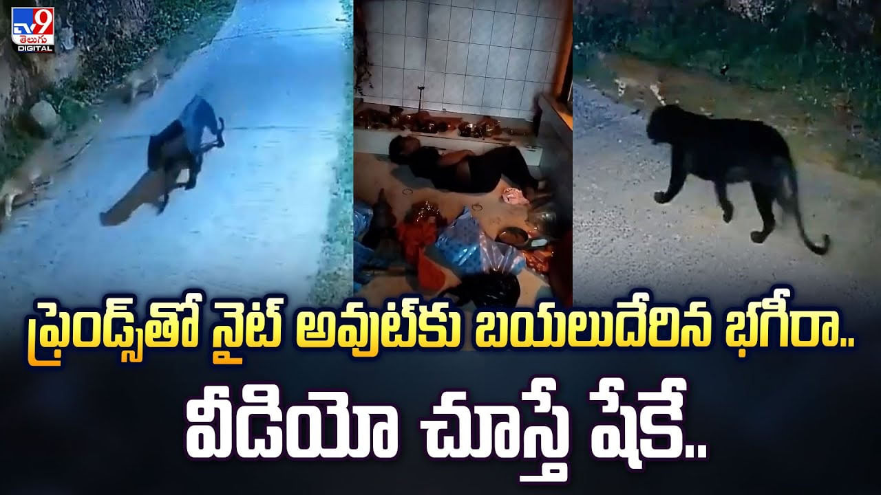 ఫ్రెండ్స్‌తో నైట్ అవుట్‌కు బయలుదేరిన భగీరా.. వీడియో చూస్తే షేకే