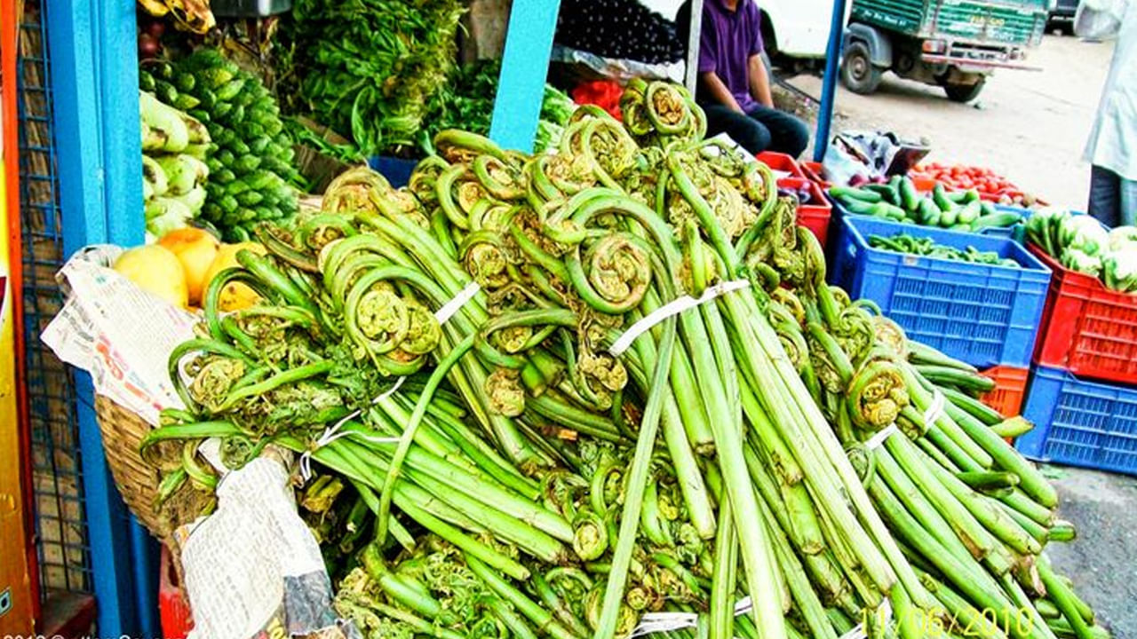 వర్షాకాలంలో ఈ కూర తినడం కళ్ళకు మంచిది. ఇందులో బీటా కెరోటిన్, విటమిన్ ఎ పుష్కలంగా ఉంటాయి. పిల్లల నుండి వృద్ధుల వరకు ప్రతి ఒక్కరూ కంటి చూపును మెరుగుపరచడానికి లింగుడ తినవచ్చు. పర్వతాలలో మీకు తెలిసినవారు ఎవరైనా ఉంటే, వారిని అడిగి ఖచ్చితంగా తెప్పించుకుని తినండి.