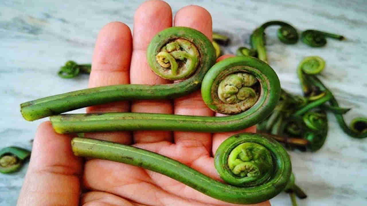 పచ్చని పురుగులా ఉందని తీసిపారేయకండి.. ఈ సూపర్ ఫుడ్ బెనిఫిట్స్ తెలిస్తే షాక్ అవుతారంతే..