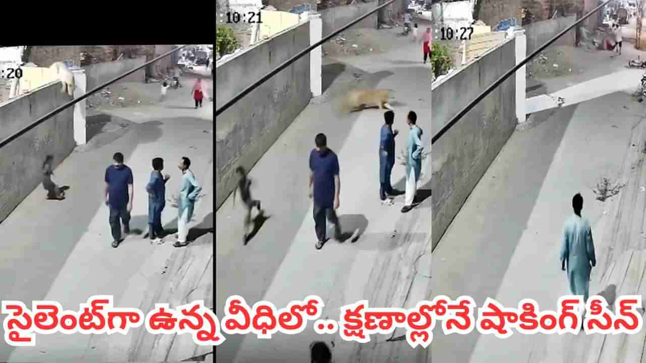 Viral Video: రోడ్డుపై సరదాగా తిరుగుతున్న జనం..  ఒక్కసారిగా ఊహించని సీన్.. కళ్ళముందే ఒక మహిళపై