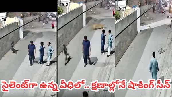 Viral Video: రోడ్డుపై సరదాగా తిరుగుతున్న జనం.. ఒక్కసారిగా ఊహించని సీన్.. కళ్ళముందే ఒక మహిళపై