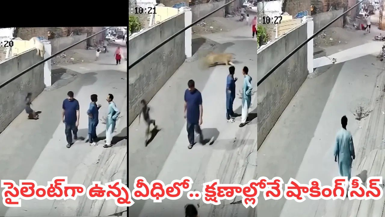 Viral Video: రోడ్డుపై సరదాగా తిరుగుతున్న జనం..  ఒక్కసారిగా ఊహించని సీన్.. కళ్ళముందే ఒక మహిళపై