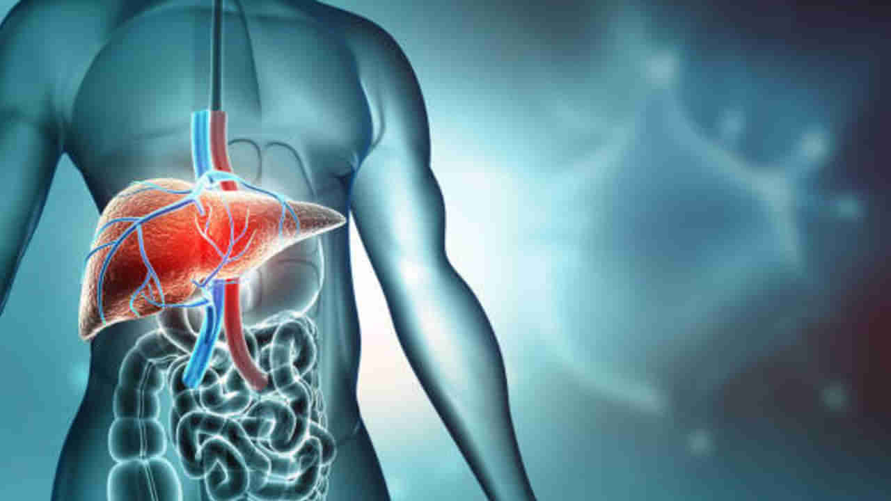 Liver Health: సహజ పద్ధతుల్లో కాలేయ ఆరోగ్యం.. ఈ ఆహారాలతో మీ లివర్ను శుభ్రం చేసుకోండి!