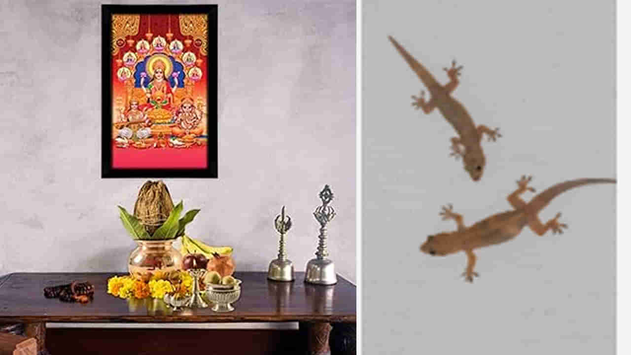 Lizard Vastu: ఇంట్లో దేవుడి పటాల వెనుక బల్లులు ఉంటే ఏమవుతుంది.. శుభమా లేక అశుభమా..?