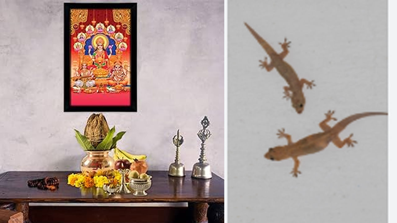 Lizard Vastu: ఇంట్లో దేవుడి పటాల వెనుక బల్లులు ఉంటే ఏమవుతుంది.. శుభమా లేక అశుభమా..?